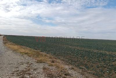 Teren extravilan de 13500000 mp, în Central