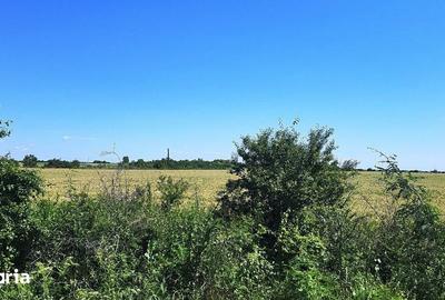 Teren de 7500 mp, în Central - 3
