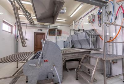 Spațiu industrial, de 2,116.5 mp, în Curtuiușu Dejului