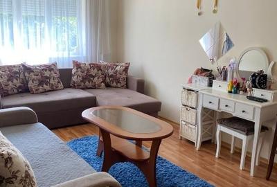 Apartament cu 3 camere decomandat, mobilat în Lipovei - 3