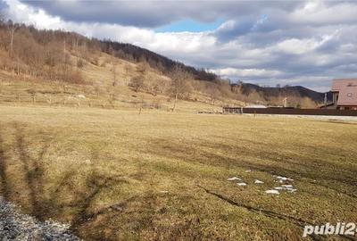 Teren de 2000 mp, în Central