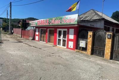 Spațiu comercial, de 47 mp, în Bascov