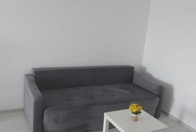 Apartament cu 2 camere semidecomandat în Valea Lupului