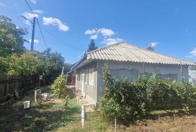 Casă cu 3 camere cu Teren 2100 Mp în Livedea