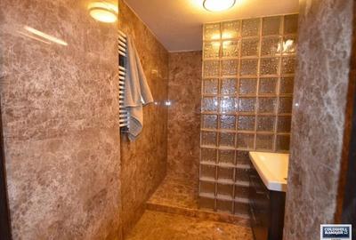 Apartament cu 3 camere decomandat în Drumul Sării - 9
