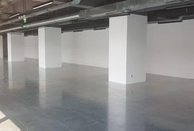 Birou, de 316 mp, în Gruia - 14