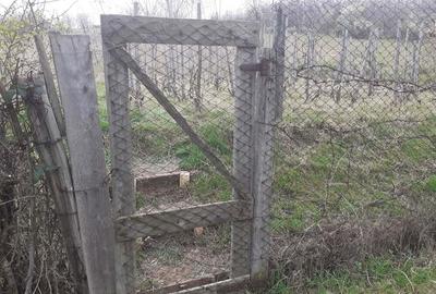 Teren de 760 mp, în Central - 5