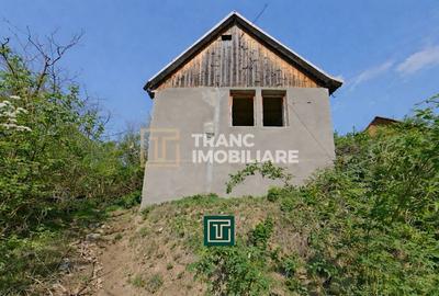 Casă cu 2 camere cu Teren 874 Mp în Covăsinț - 3