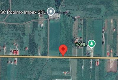 Teren de 6200 mp, în Crainimăt - 2