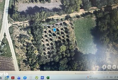 Teren de 1400 mp, în Cuza Vodă - 1