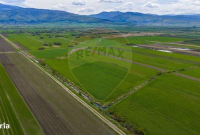 Spațiu comercial, în Lunca Mărcușului - 9