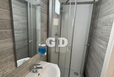 Casă cu 2 camere cu Teren 160 Mp în Lazaret - 4