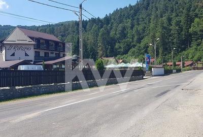 Teren Construcții intravilan de 19380 mp, în Brădet - 5