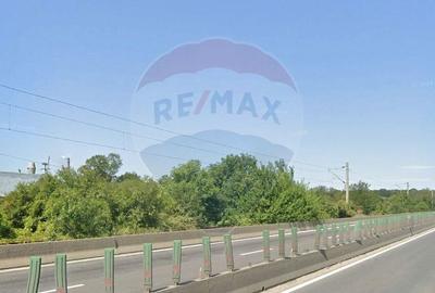 Teren Construcții intravilan de 25895 mp, în Est - 4