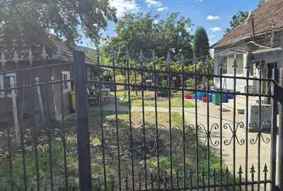 Casă cu Teren 2893 Mp în Brănișca
