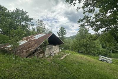 Teren de 2400 mp, în Telega - 8