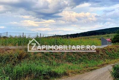 Teren Construcții intravilan de 2500 mp, în Livezeni - 4
