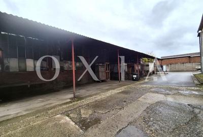 Spațiu industrial, de 160 mp, în Elisabetin - 10