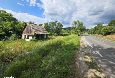 Casă cu 2 camere în Păuliș