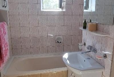 Apartament cu 2 camere semidecomandat, mobilat în Central - 11