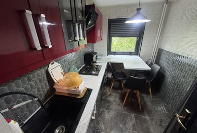 Apartament cu 2 camere semidecomandat, mobilat în City Park Mall - 7
