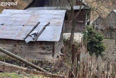 Casă cu 3 camere cu Teren 4900 Mp în Central