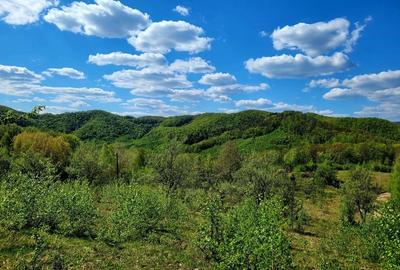 Teren de 70000 mp, în Șerani - 6