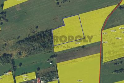 Teren agricol extravilan de 10000 mp, în Arhitecților - Calea Cisnădiei - 1
