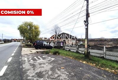Teren Construcții intravilan de 6524 mp, în Iezureni - 1