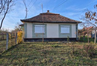 Casă cu 2 camere în Viile Satu Mare - 2
