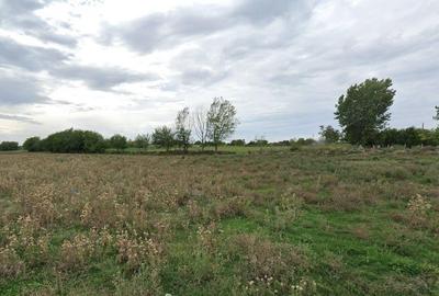 Teren intravilan de 4000 mp, în Roseți