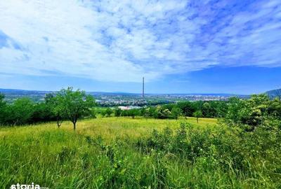 Teren de 15000 mp, în Central