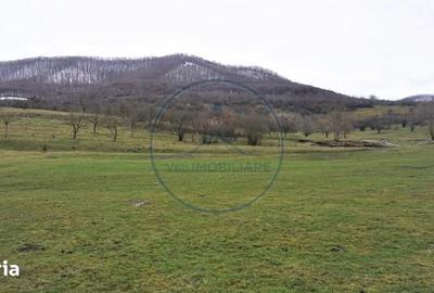 Teren de 7200 mp, în Șieu