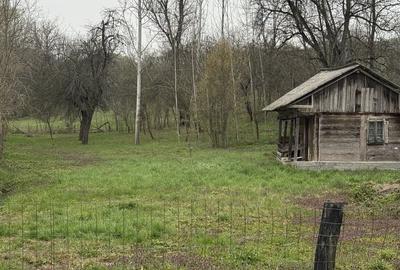 Spațiu comercial, în Central - 3