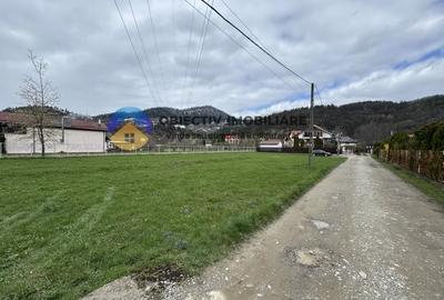 Teren Construcții de 1372 mp, în Vaduri - 12