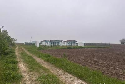 Teren de 600 mp, în 23 August - 8