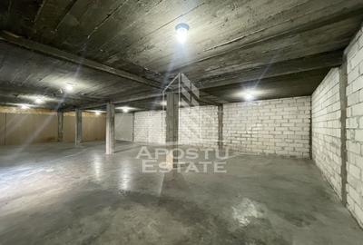 Spațiu industrial, de 203 mp, în Dumbrăvița - 1