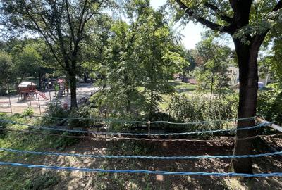 Apartament cu 2 camere decomandat, mobilat în Șagului - 23
