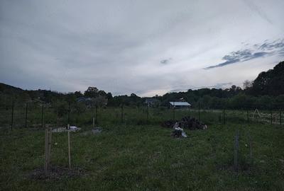 Teren de 500 mp, în Băiculești - 1