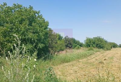 Teren în Central