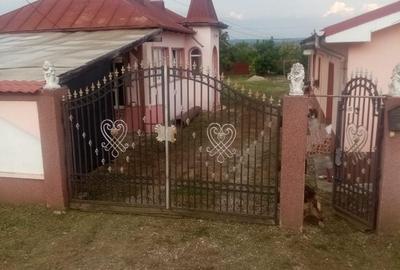 Casă cu 4 camere în Prundeni