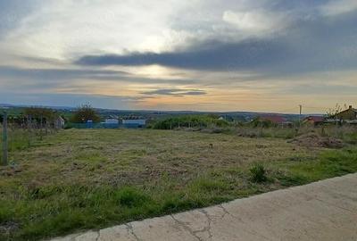 Teren de 1000 mp, în Bucium