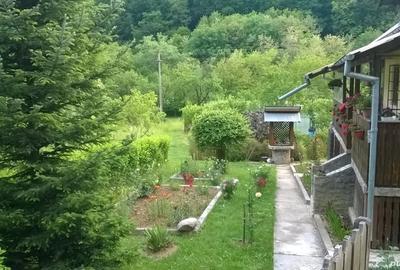 Casă cu 2 camere cu Teren 1800 Mp în Posești - 1