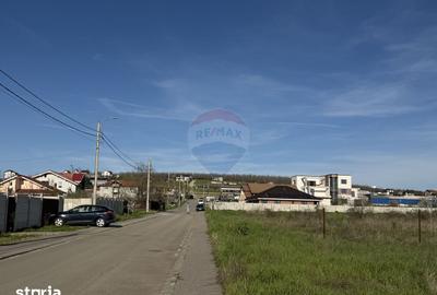 Teren de 4862 mp, în Bordei - 11