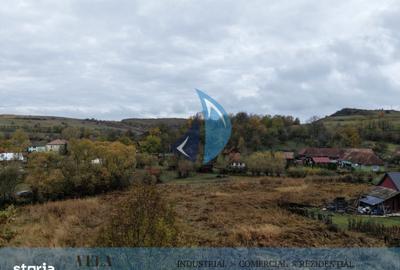 Teren de 4140 mp, în Hodoșa