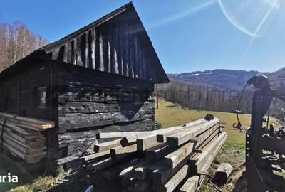 Teren de 10100 mp, în Bulz