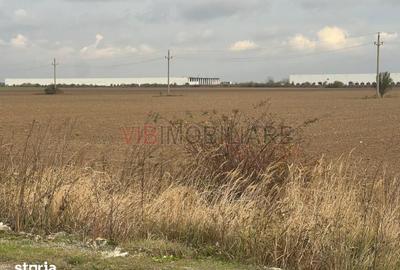 Teren de 22800 mp, în Joița