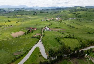 Teren de 7948 mp, în Barcani - 1