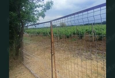 Teren de 1800 mp, în Arva - 6