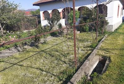 Casă cu 4 camere cu Teren 1200 Mp în Bâltișoara - 1